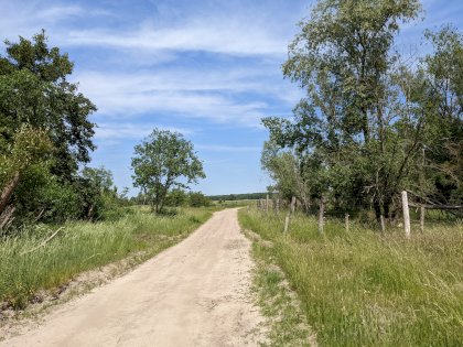 PXL_20220605_102338458.jpg