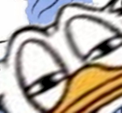 ente donald schau wut what wat.jpg
