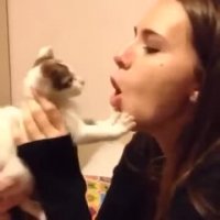 aAyRAe0_460svvp9.webm