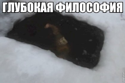 14203835649.jpg