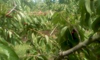 IMG_20201211_124435.jpg