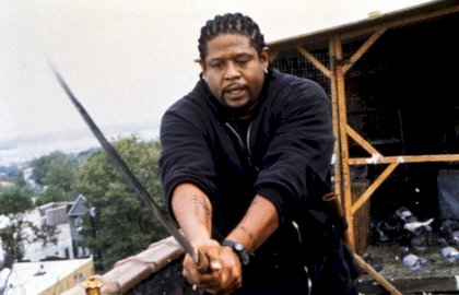 black ronin.jpg