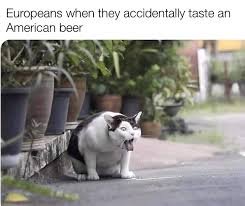 images (27).jpeg