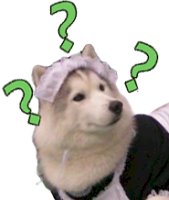 fragehunts.png
