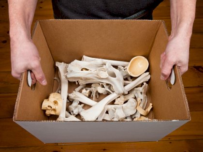 istockphoto-482762393-170667a.jpg