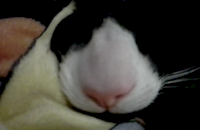 2015-01-18 16.24.32.png