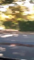 IMG_9987.mp4