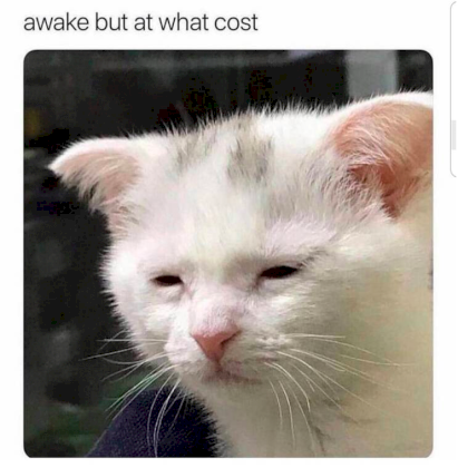 1qjx33.png
