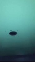 lighter.mp4