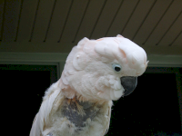 B8B4149C-4852-428F-A6D6-32323678FF34.png
