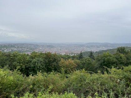 IMG_0688.jpeg