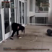 bloodborne.webm