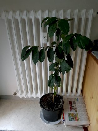 20200618_172251.jpg