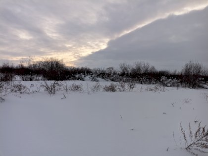 PXL_20220212_132425068.jpg