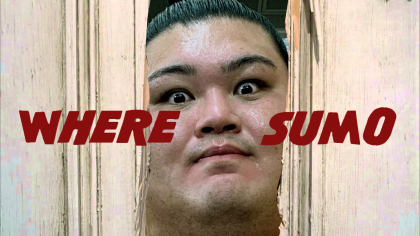 WHERE-SUMO.png