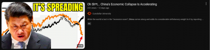 Screenshot 2025-03-24 at 22-19-22 china collapse - YouTube.png