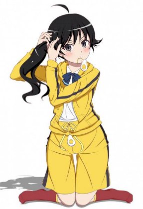 Araragi.Karen.full.1095047.jpg