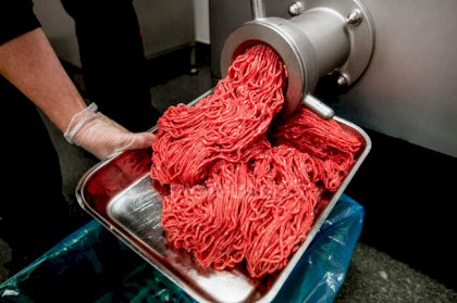 focused_228957384-stock-photo-minced-meat-coming-out-grinder.jpg