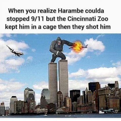 1662918091947449.jpg