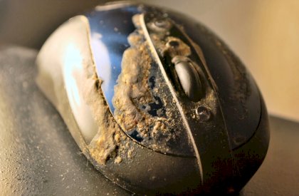 dirtiest mouse ever documented.jpg