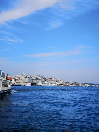 IMG_20210920_130240.jpg
