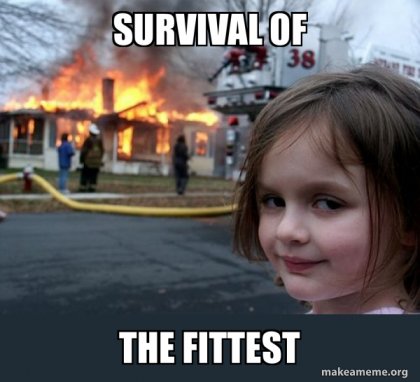 survival-of-the-59f77f8254.jpg