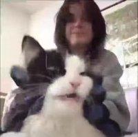 a8qzRG1_460svvp9.webm