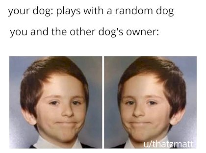 3d0.jpg
