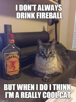 images (27).jpeg