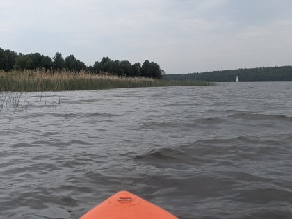 PXL_20230528_102517402.jpg