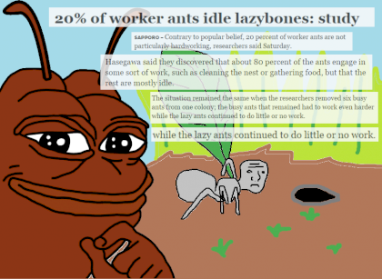 tjhfu33zwln01.png