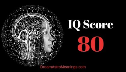 IQ-80.jpg