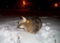 06_07_kadse.jpg