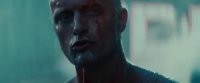 15835198675900.webm