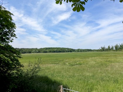PXL_20220605_100501756.jpg