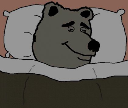 ber slep.jpg