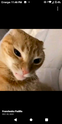 Screenshot_20240111-234620.png