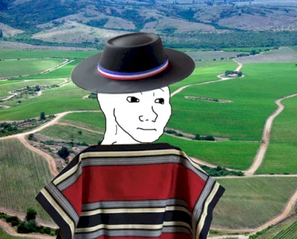 r02tj9txvgr71.webp