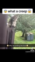 ea11b10c89b68979809679ec84747fbb.mp4