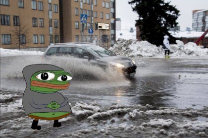 schizofrogs outside.jpg