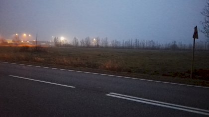 IMG_20211114_063255.jpg