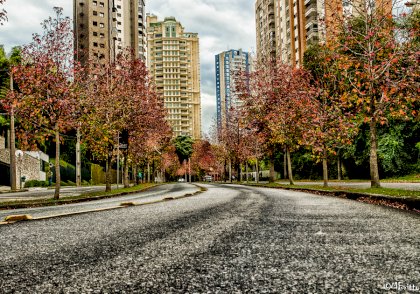 stock-photo-125073335.jpg