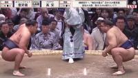 20260318-The-Staredown.mp4