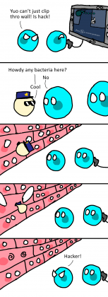 IMG_3654.png