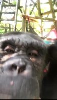 9d3b044100940d25.mp4