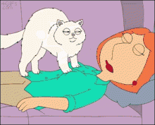 family-guy-cat.gif