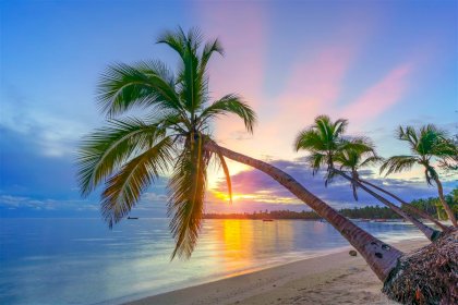 xl_Dominikanische Rep._ Punta Cana_Strand_is_tour_1134425222_ie.jpg
