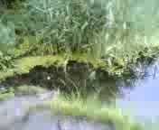 Video(046).3gp