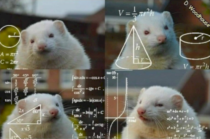 When+hellscythe+posts+ferret+memes+but+doesnt+want+them+to+_ed0b4f4732b0890a9d2ed1f4546d3d30.png