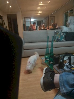 1545698276781.jpg